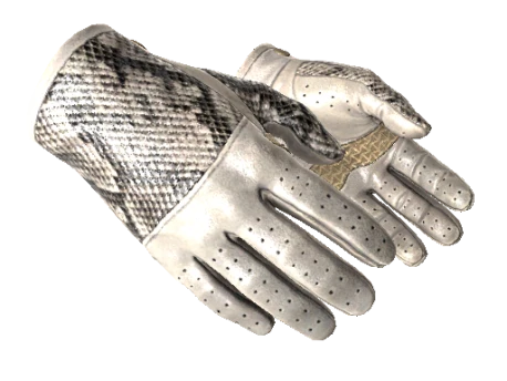 ★ Driver Gloves | King Snake (Minimal Wear)